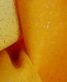 七五三 3歳女の子用被布[レトロシンプル](被布)白に黄色ぼかし・鳳凰(着物)黄色 無地No.35K